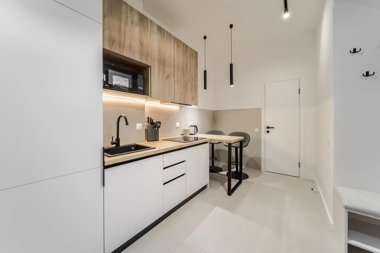 Inshiapartments On Ferentsa Lista Str Lviv Ukraine